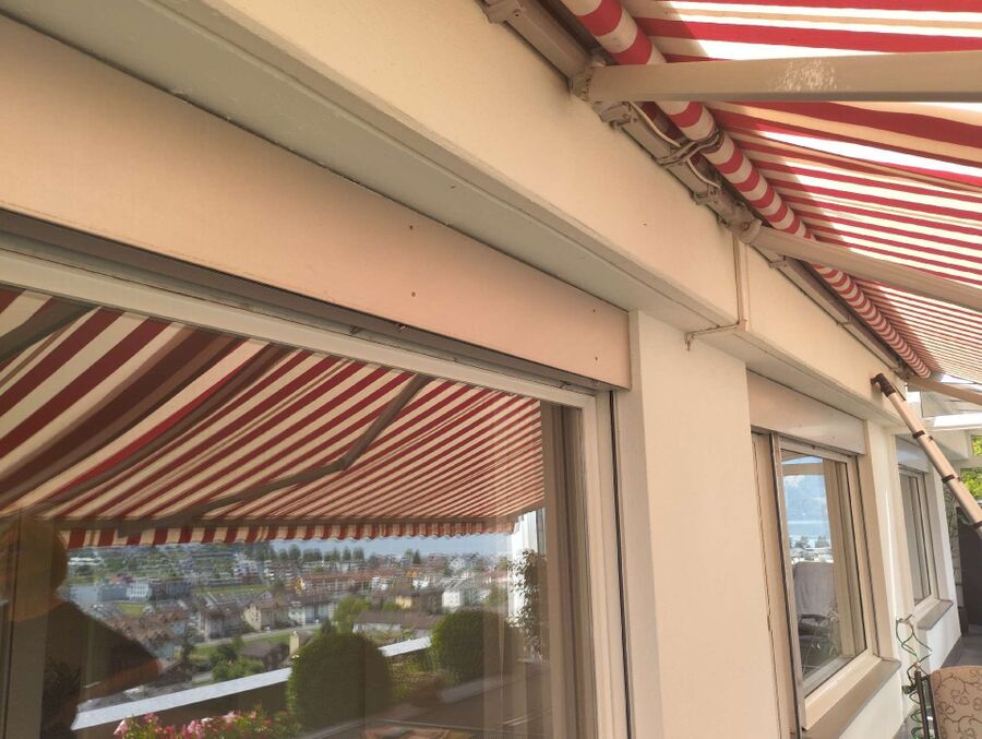 wespennest_entfernen