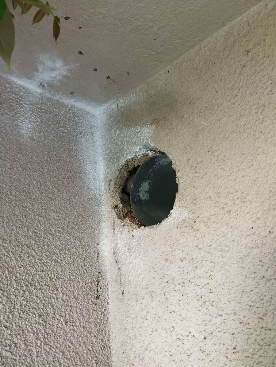 wespennest_entfernen