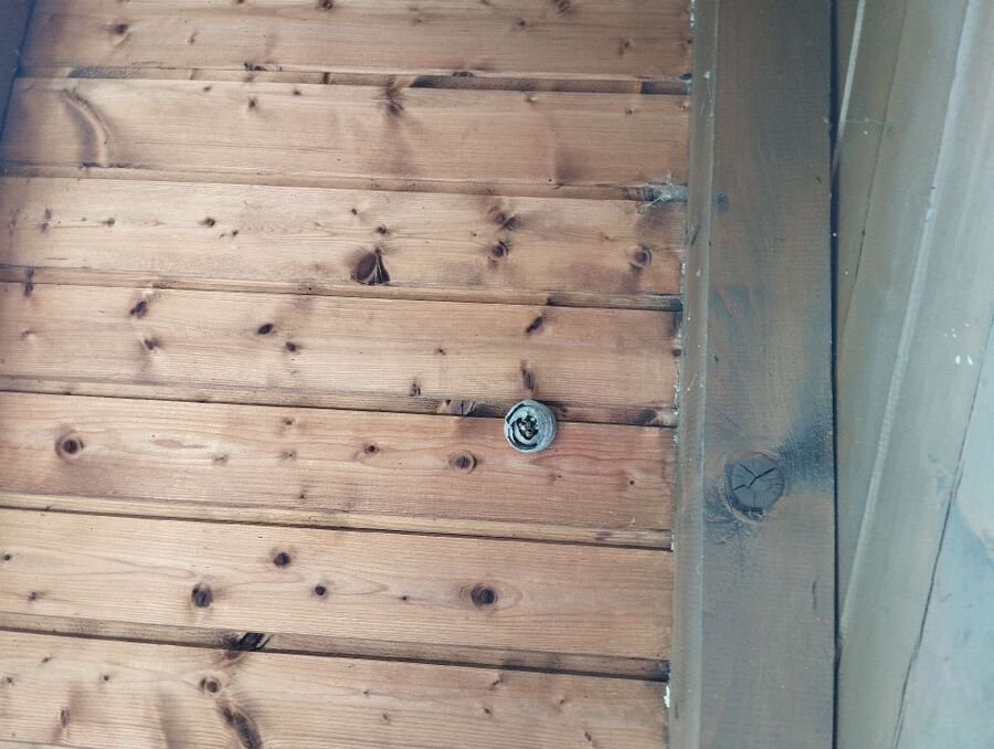 wespennest_entfernen