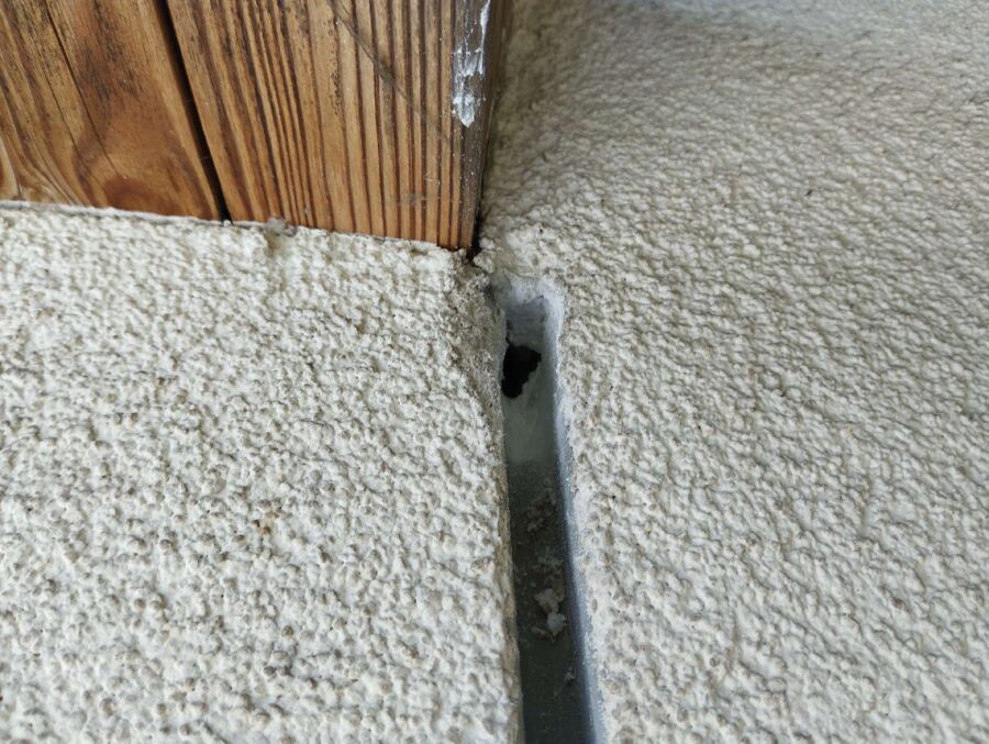 wespennest_entfernen