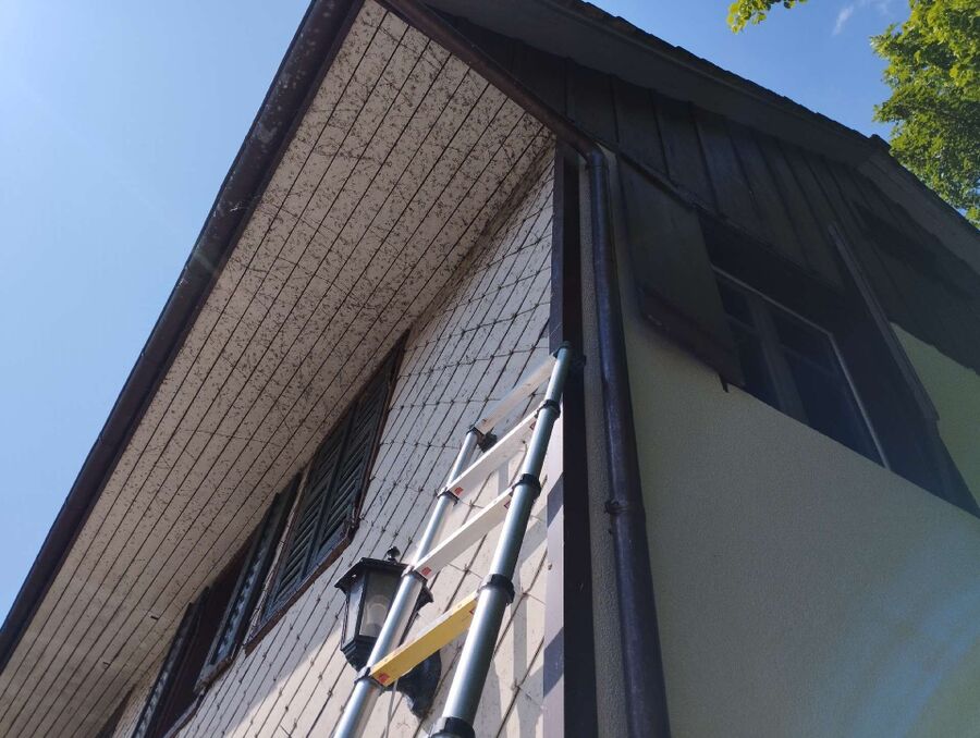 wespennest_entfernen