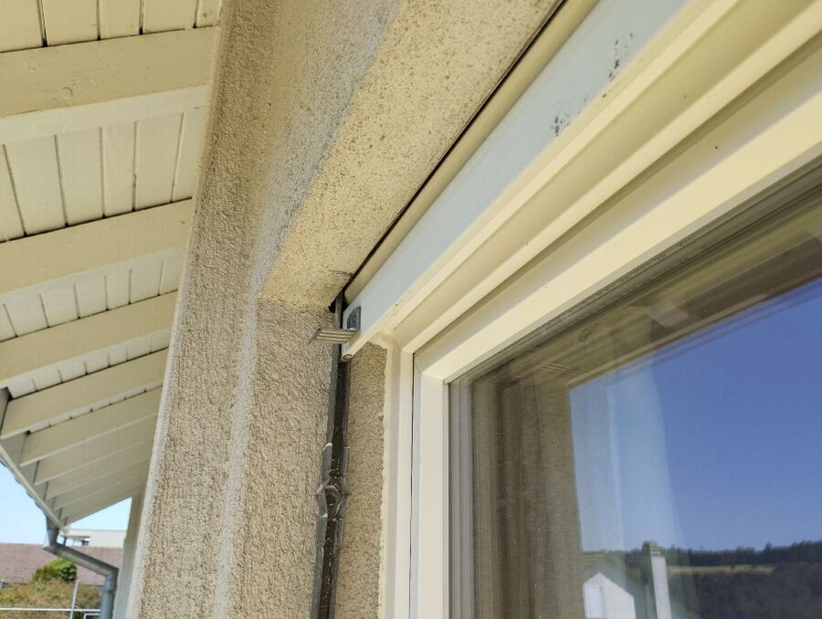 wespennest_entfernen