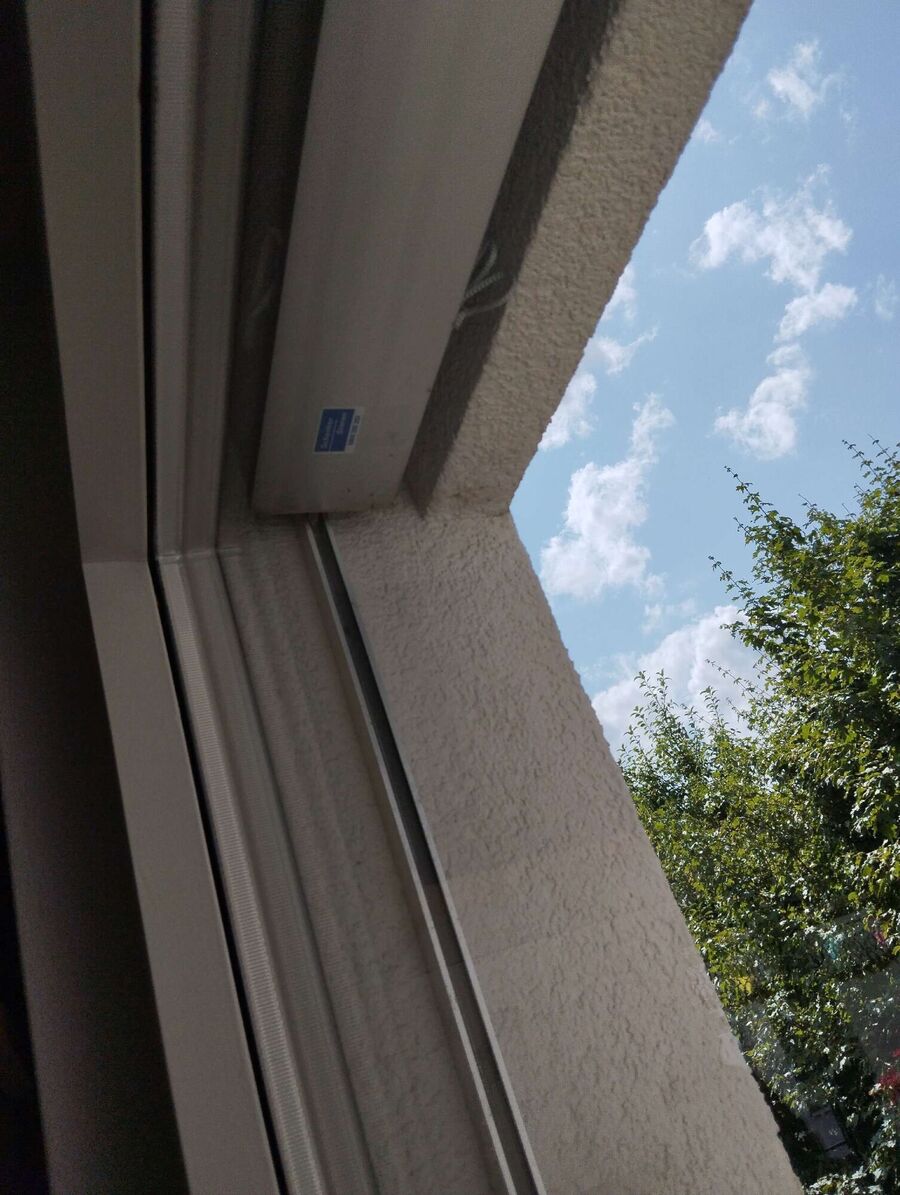 wespennest_entfernen