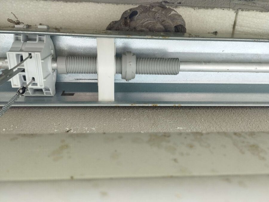 wespennest_entfernen