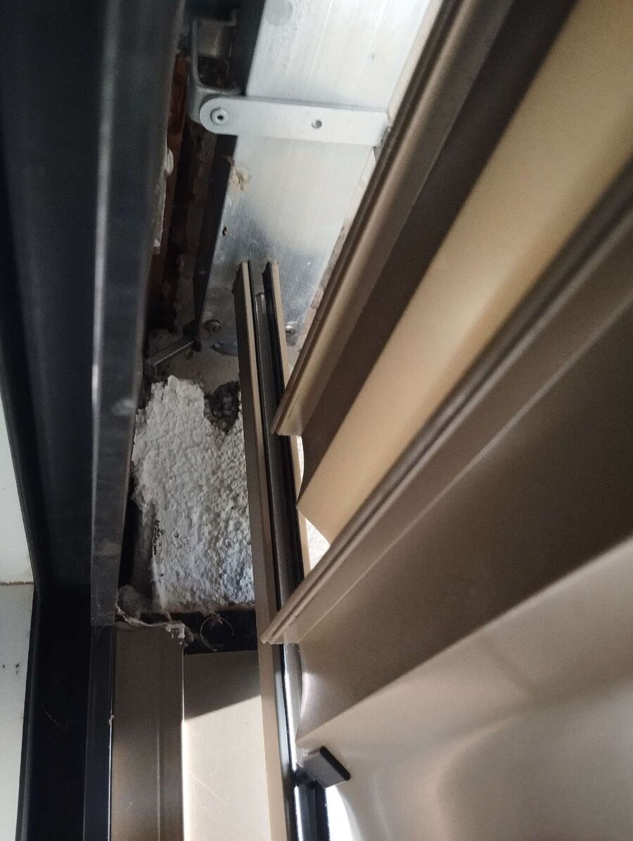 wespennest_entfernen