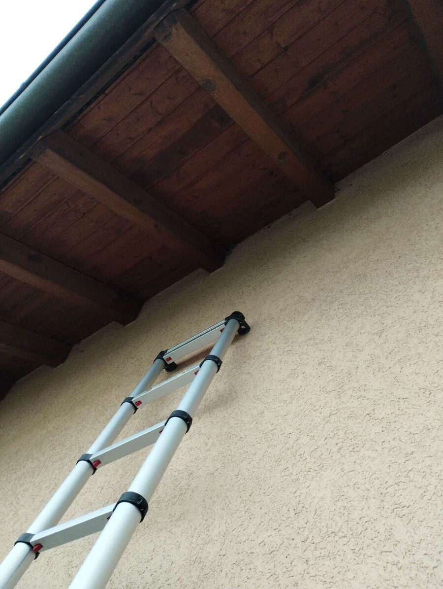 wespennest_entfernen