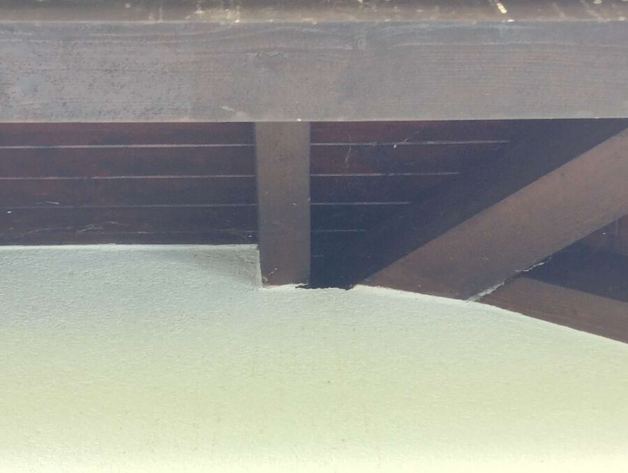 wespennest_entfernen