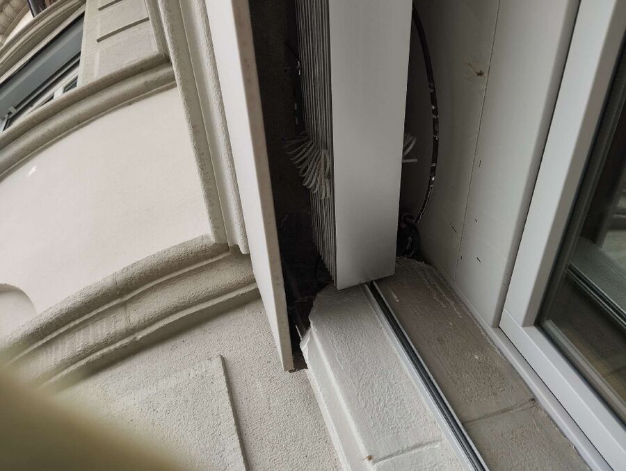 wespennest_entfernen