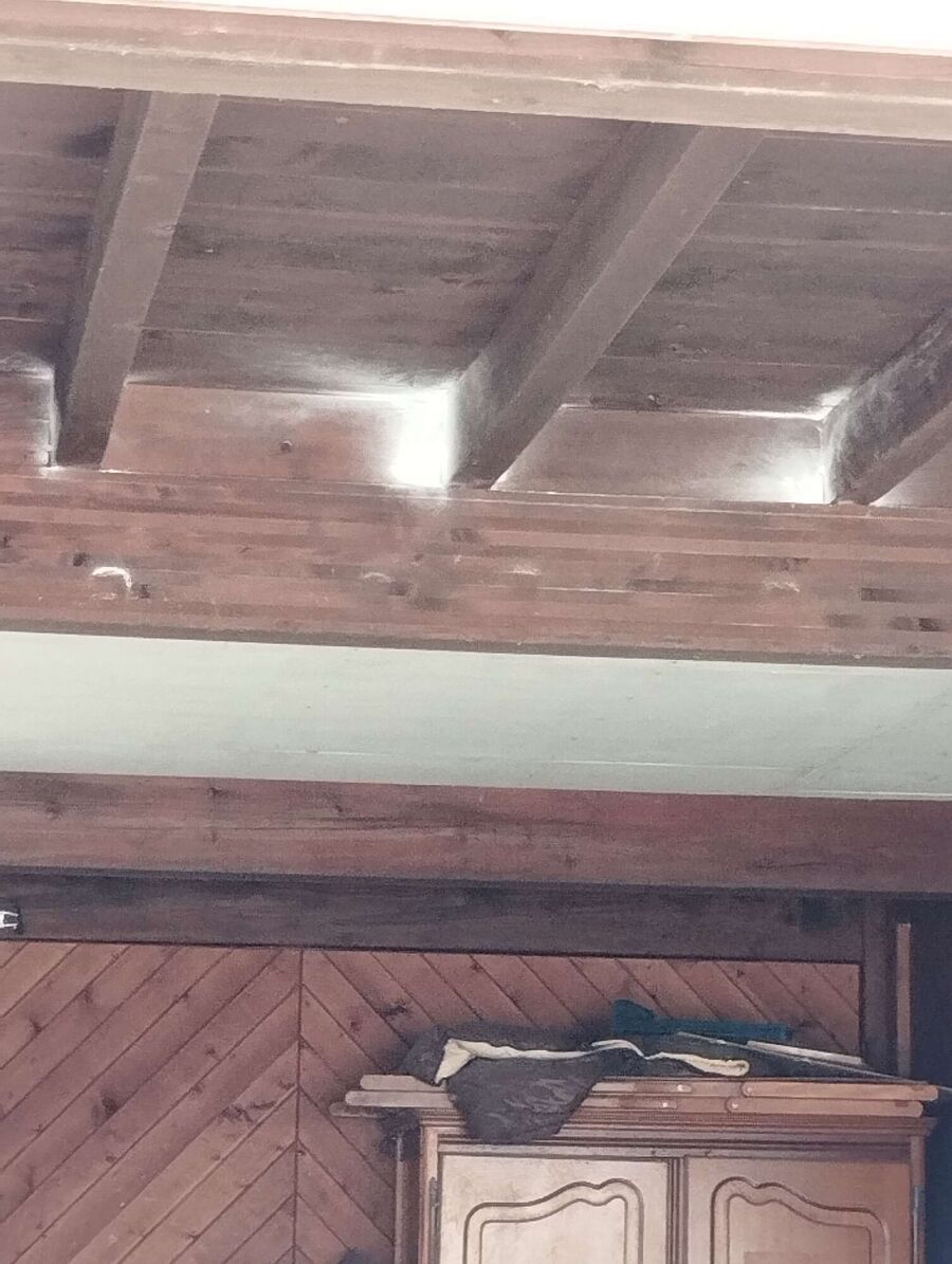 wespennest_entfernen