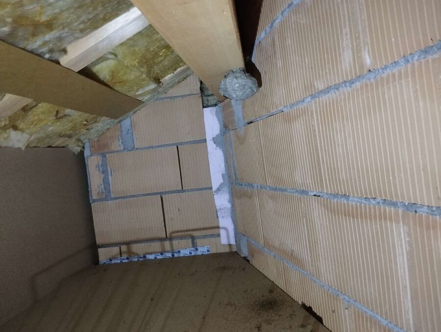 wespennest_entfernen