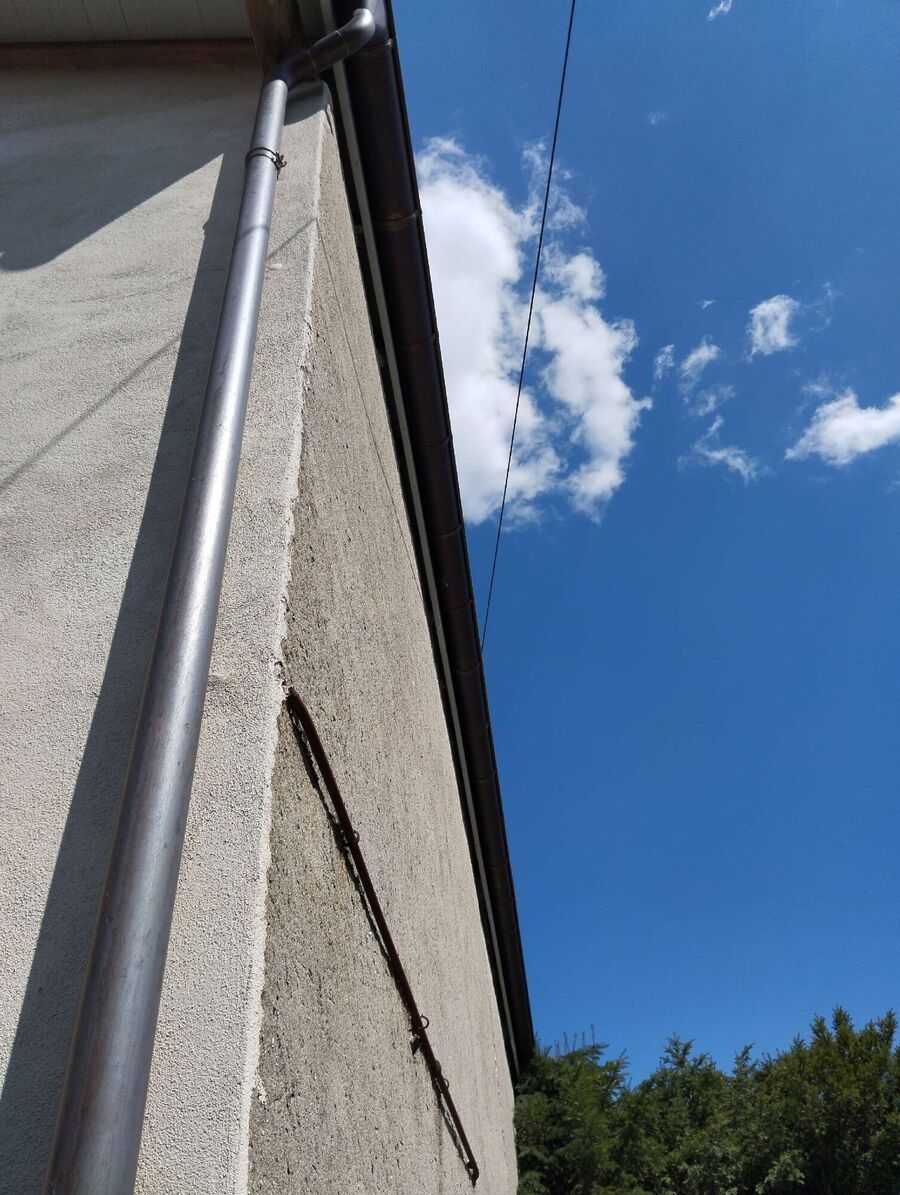 wespennest_entfernen