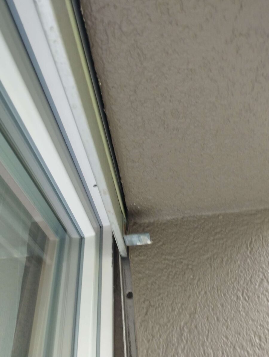 wespennest_entfernen