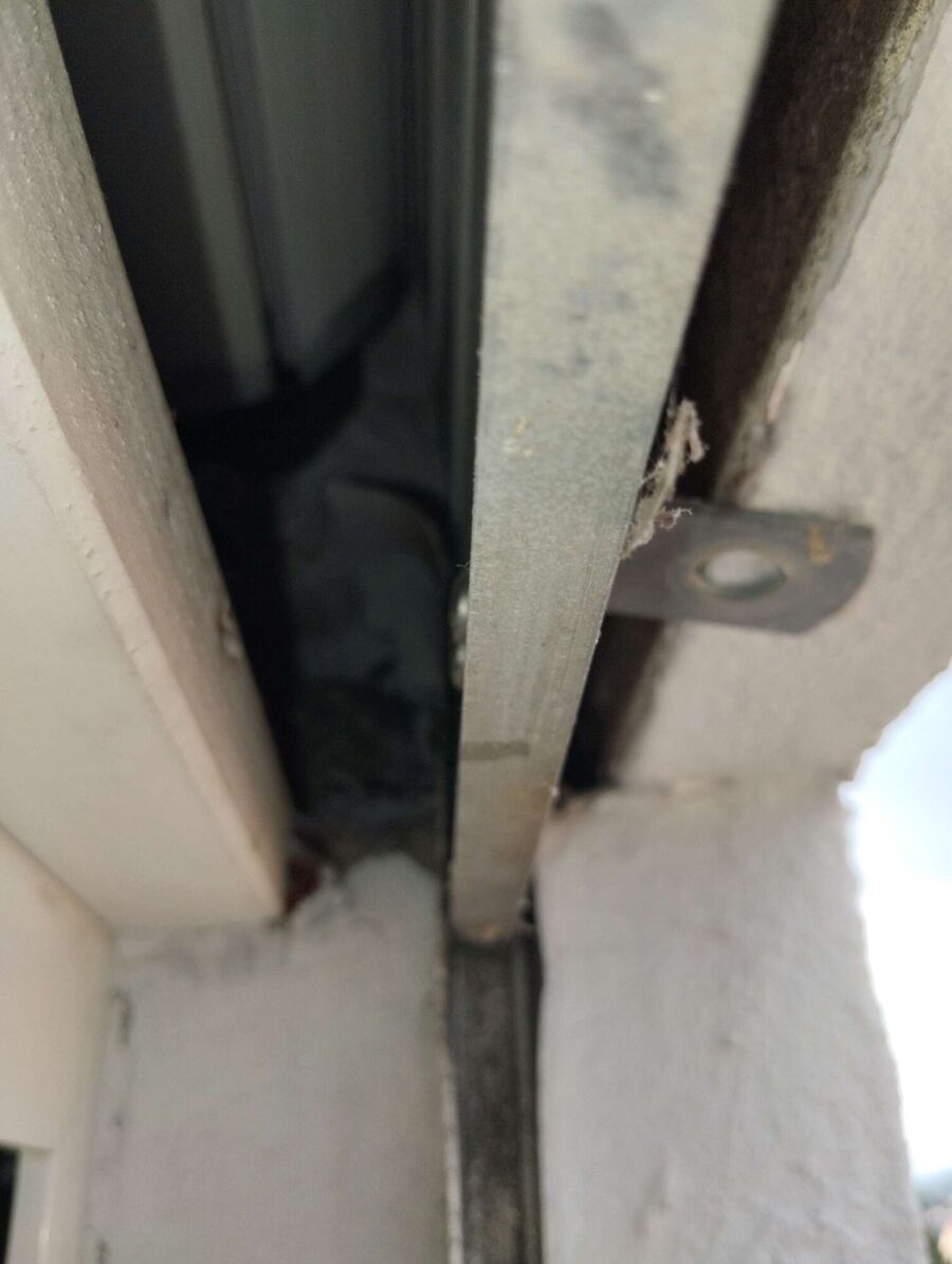 wespennest_entfernen