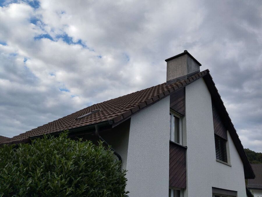 wespennest_entfernen