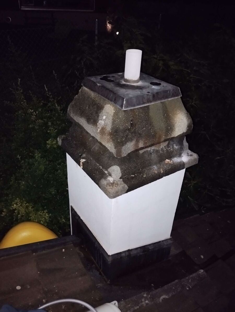 wespennest_entfernen