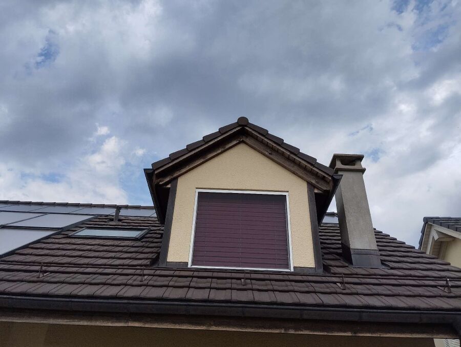 wespennest_entfernen