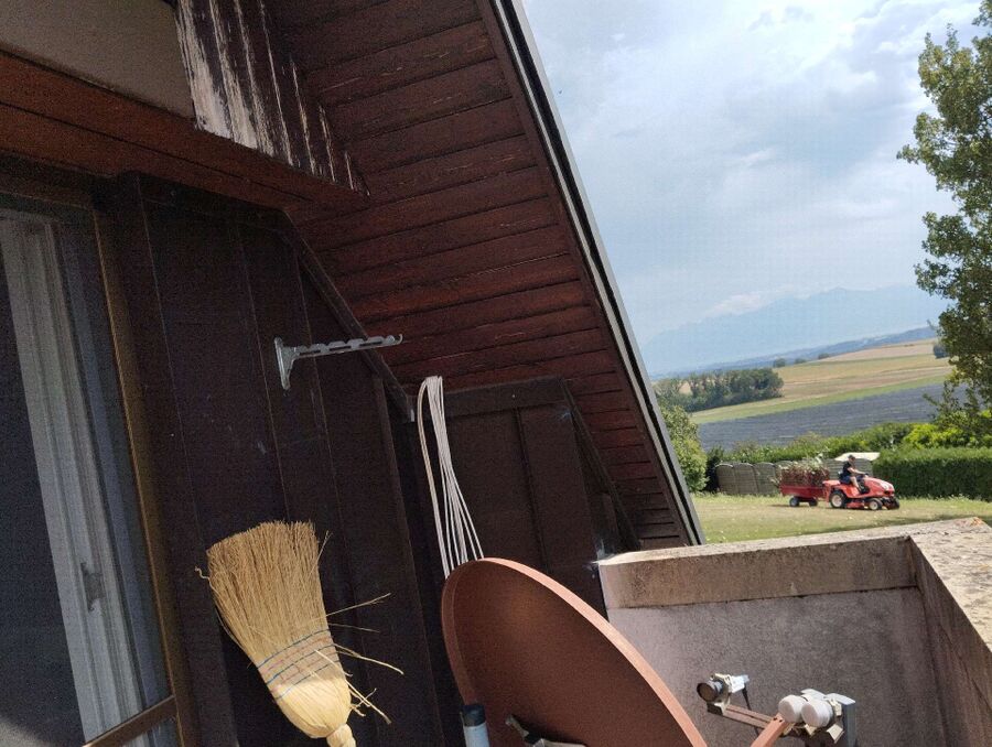 wespennest_entfernen