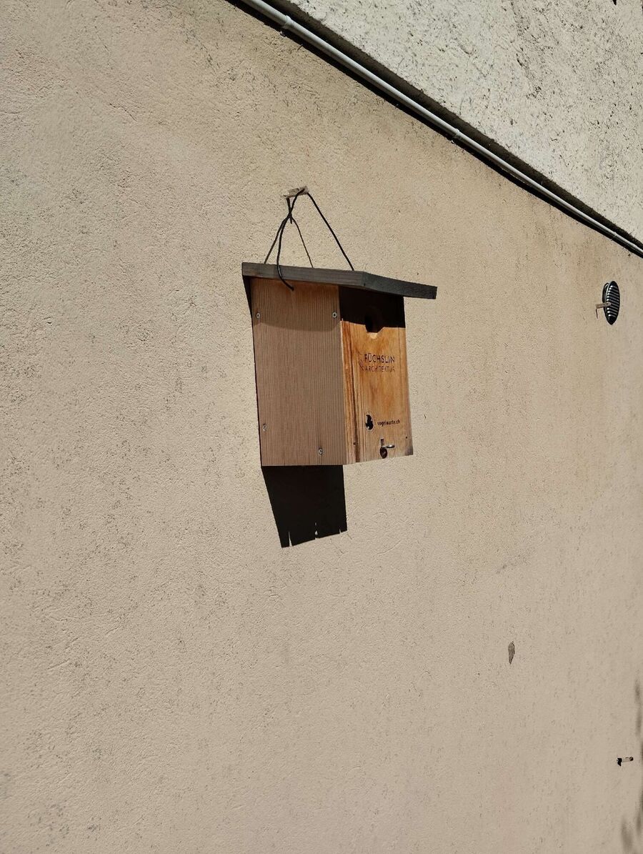 wespennest_entfernen