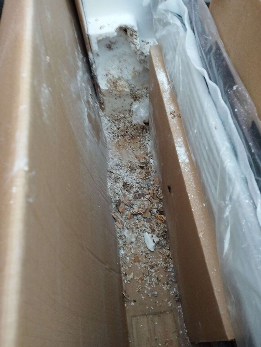 wespennest_entfernen