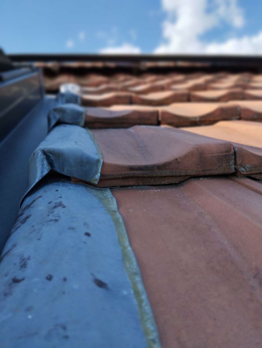 wespennest_entfernen