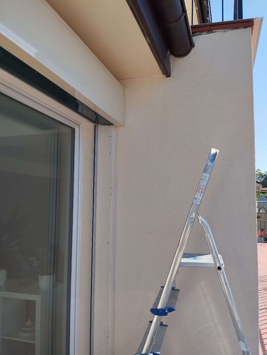 wespennest_entfernen