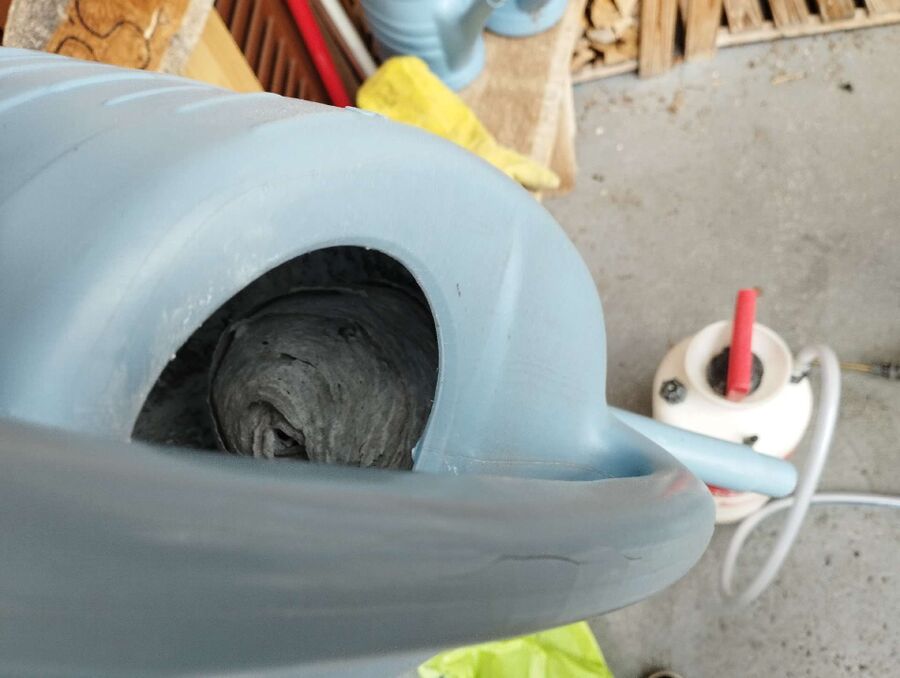 wespennest_entfernen