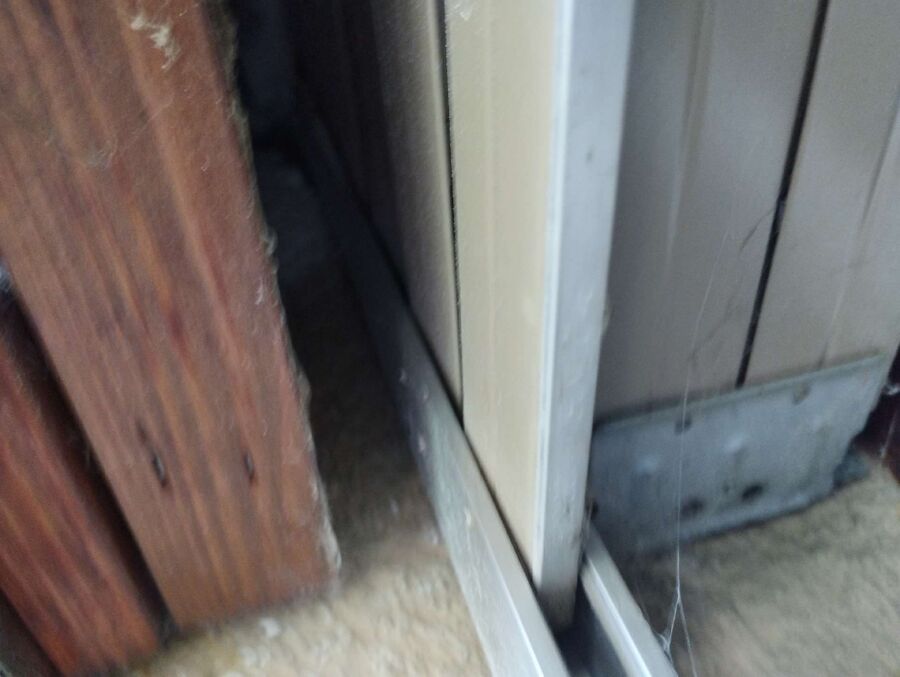 wespennest_entfernen