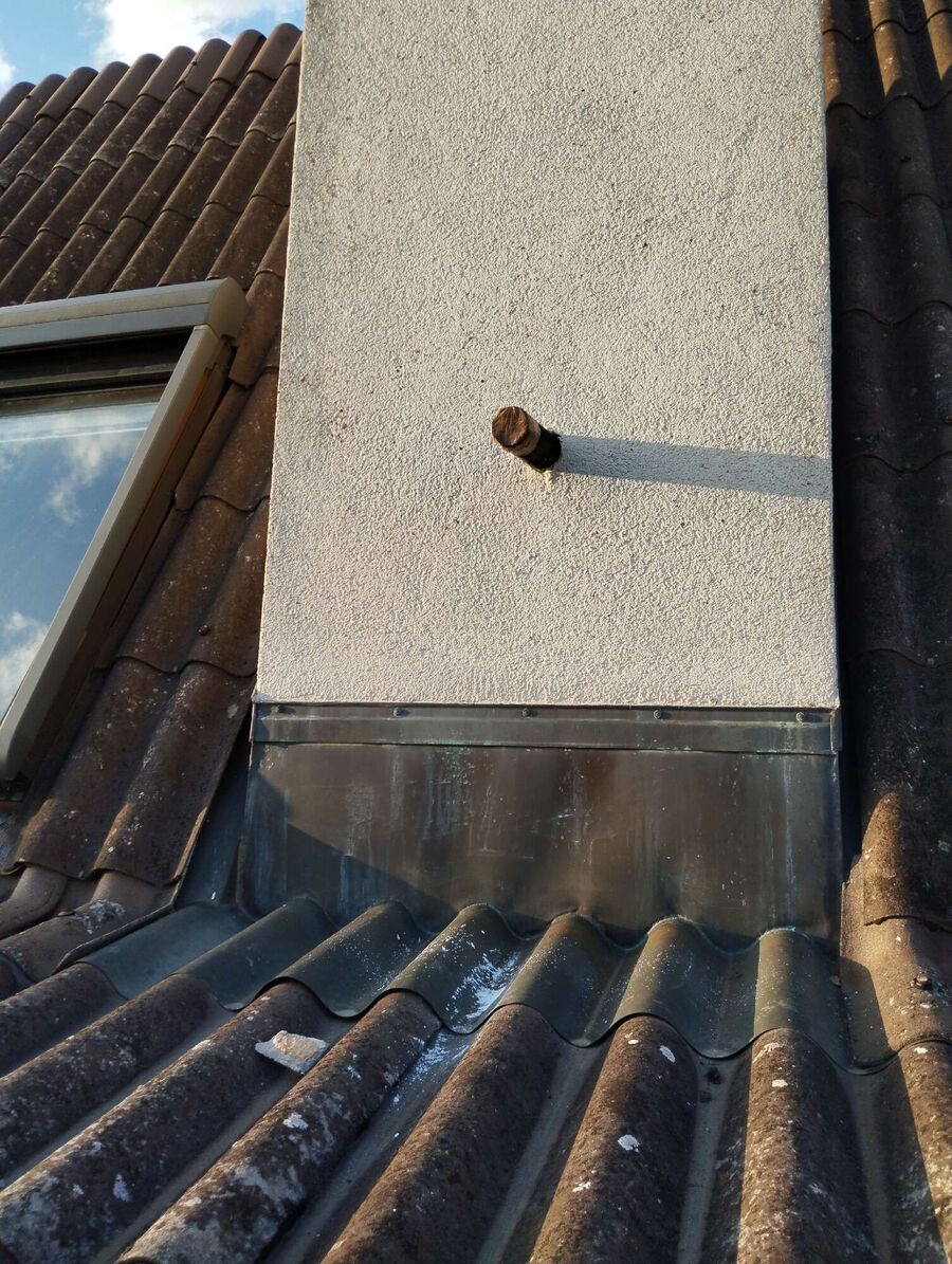 wespennest_entfernen