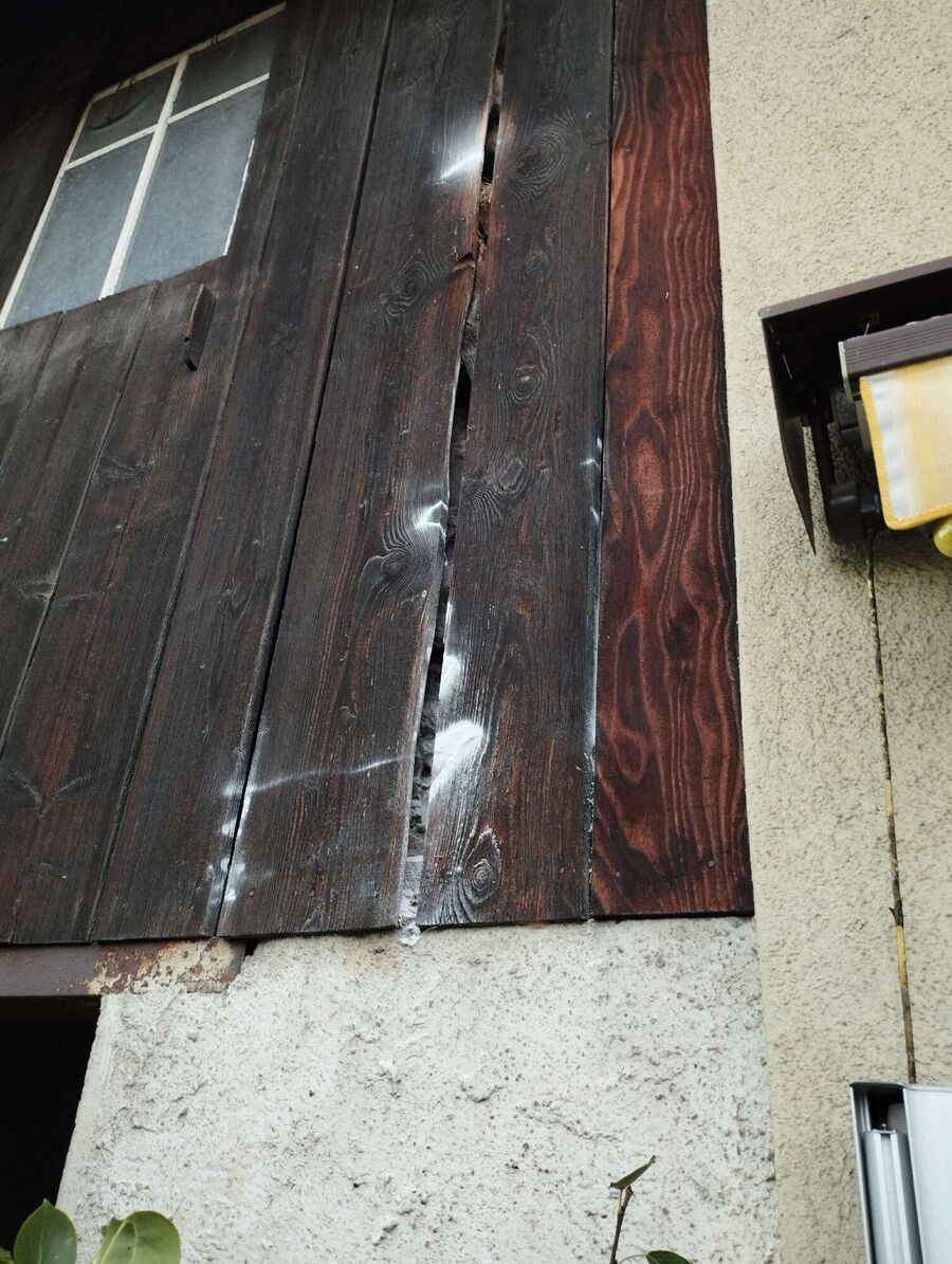 wespennest_entfernen