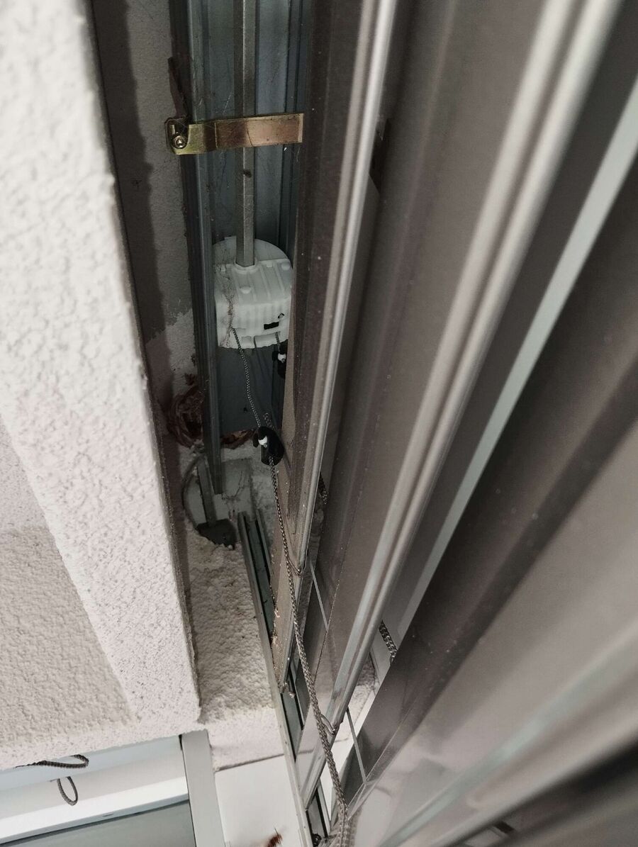 wespennest_entfernen