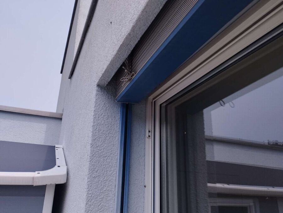 wespennest_entfernen