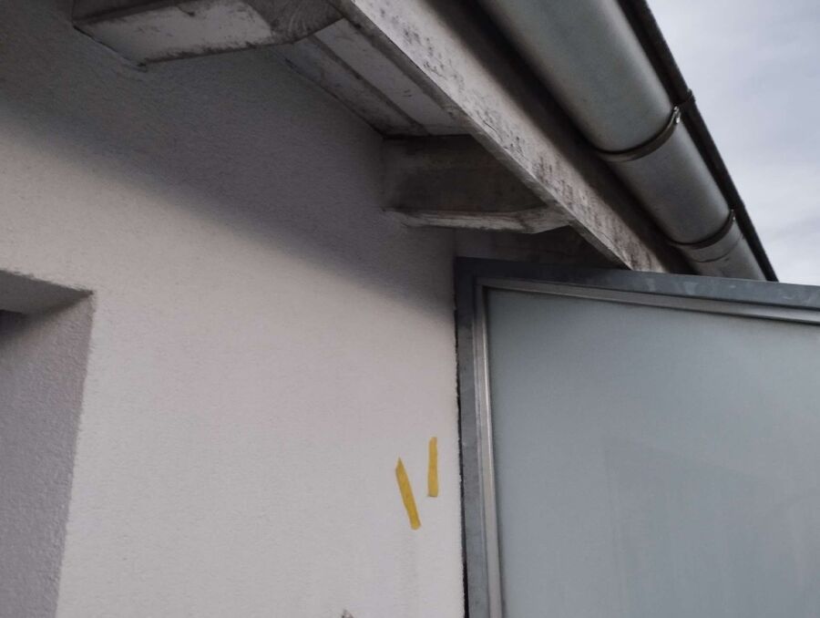 wespennest_entfernen