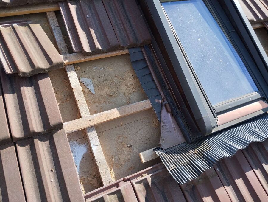 wespennest_entfernen