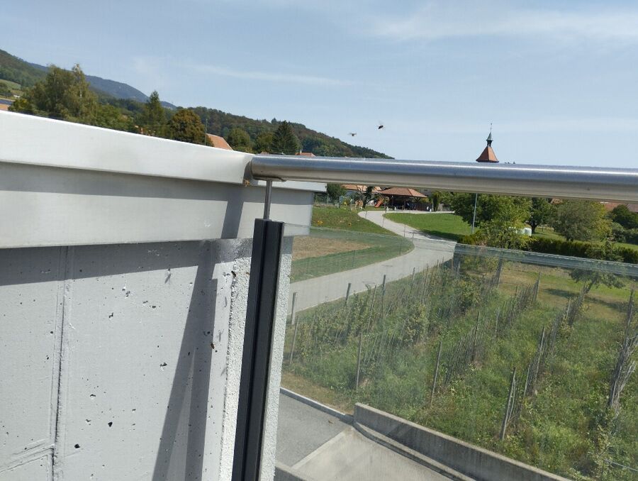 wespennest_entfernen