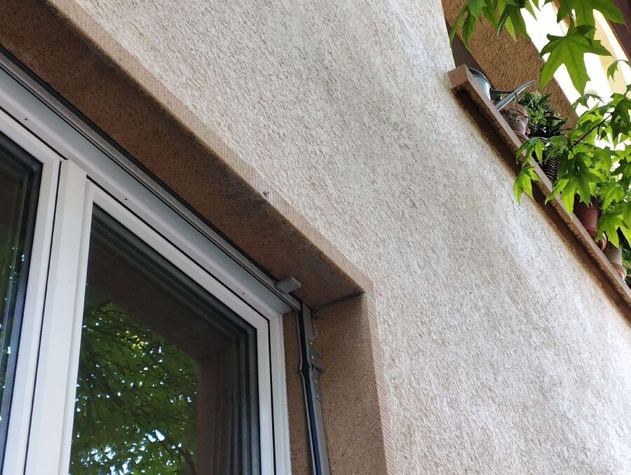 wespennest_entfernen