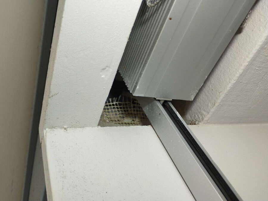 wespennest_entfernen