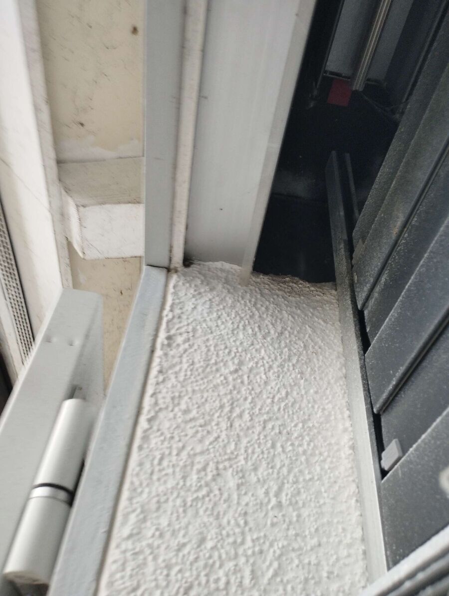 wespennest_entfernen