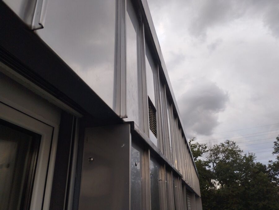 wespennest_entfernen