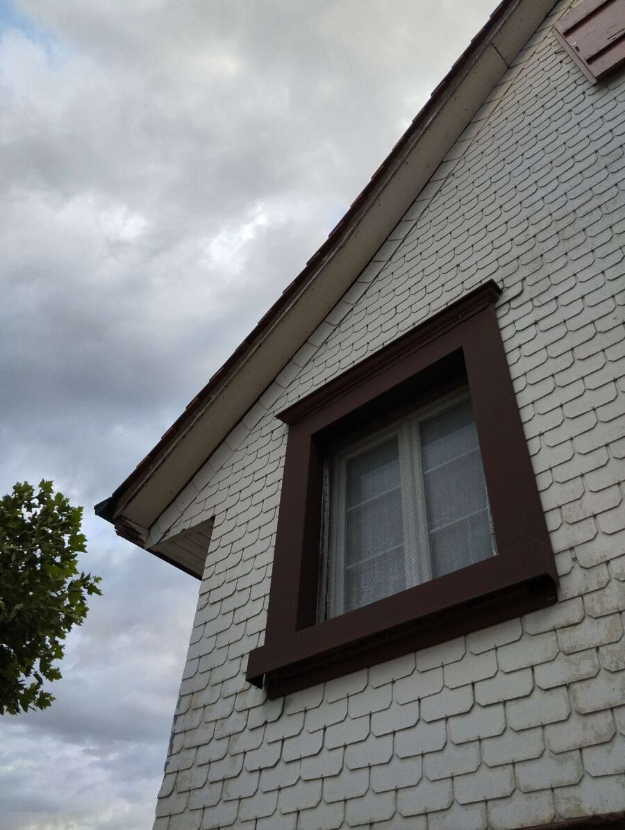 wespennest_entfernen