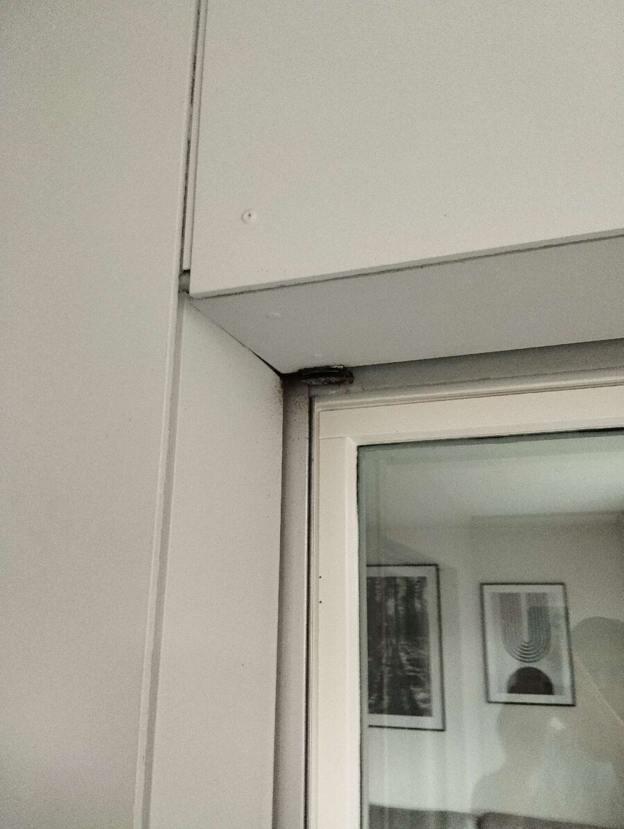 wespennest_entfernen