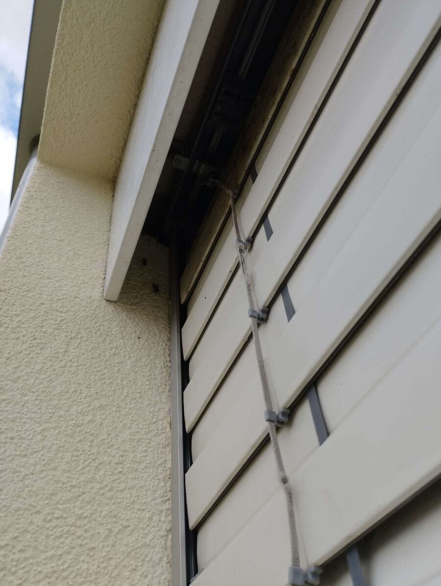 wespennest_entfernen