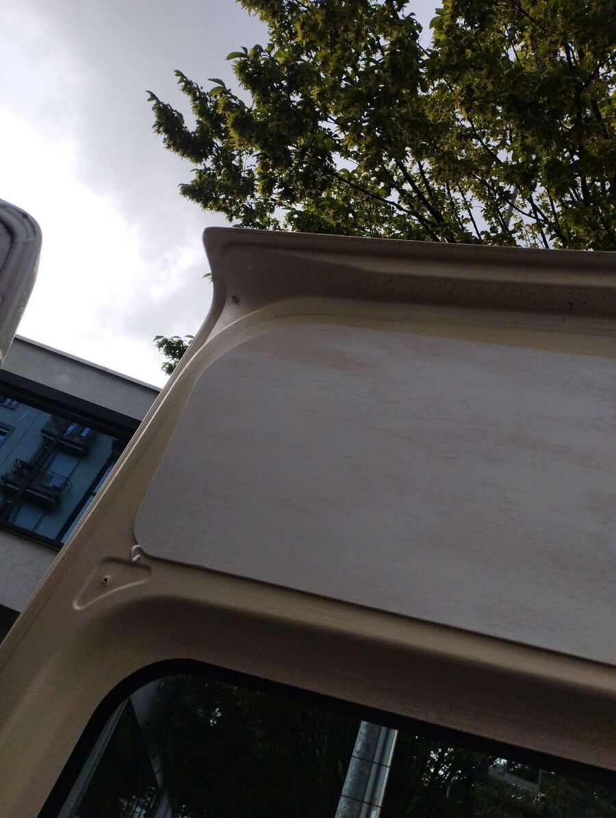 wespennest_entfernen