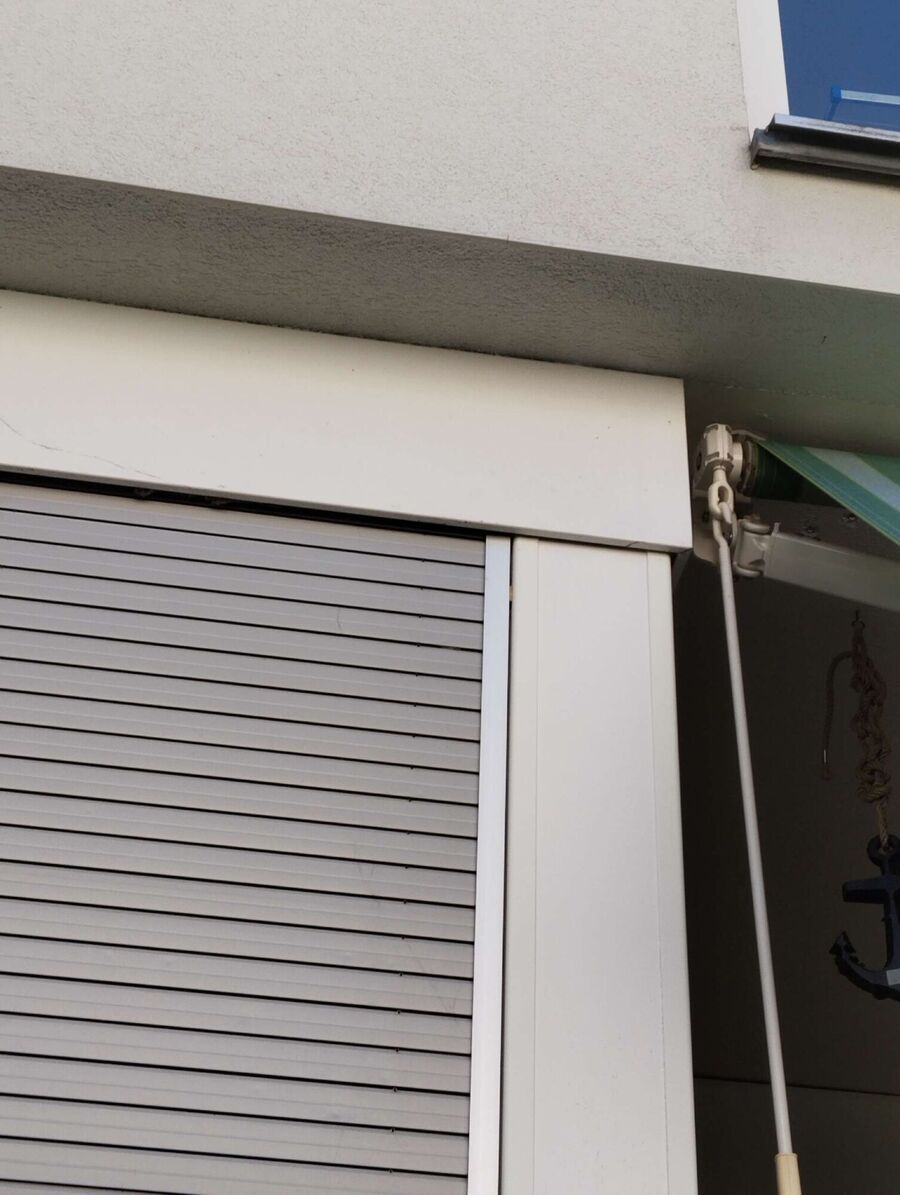 wespennest_entfernen