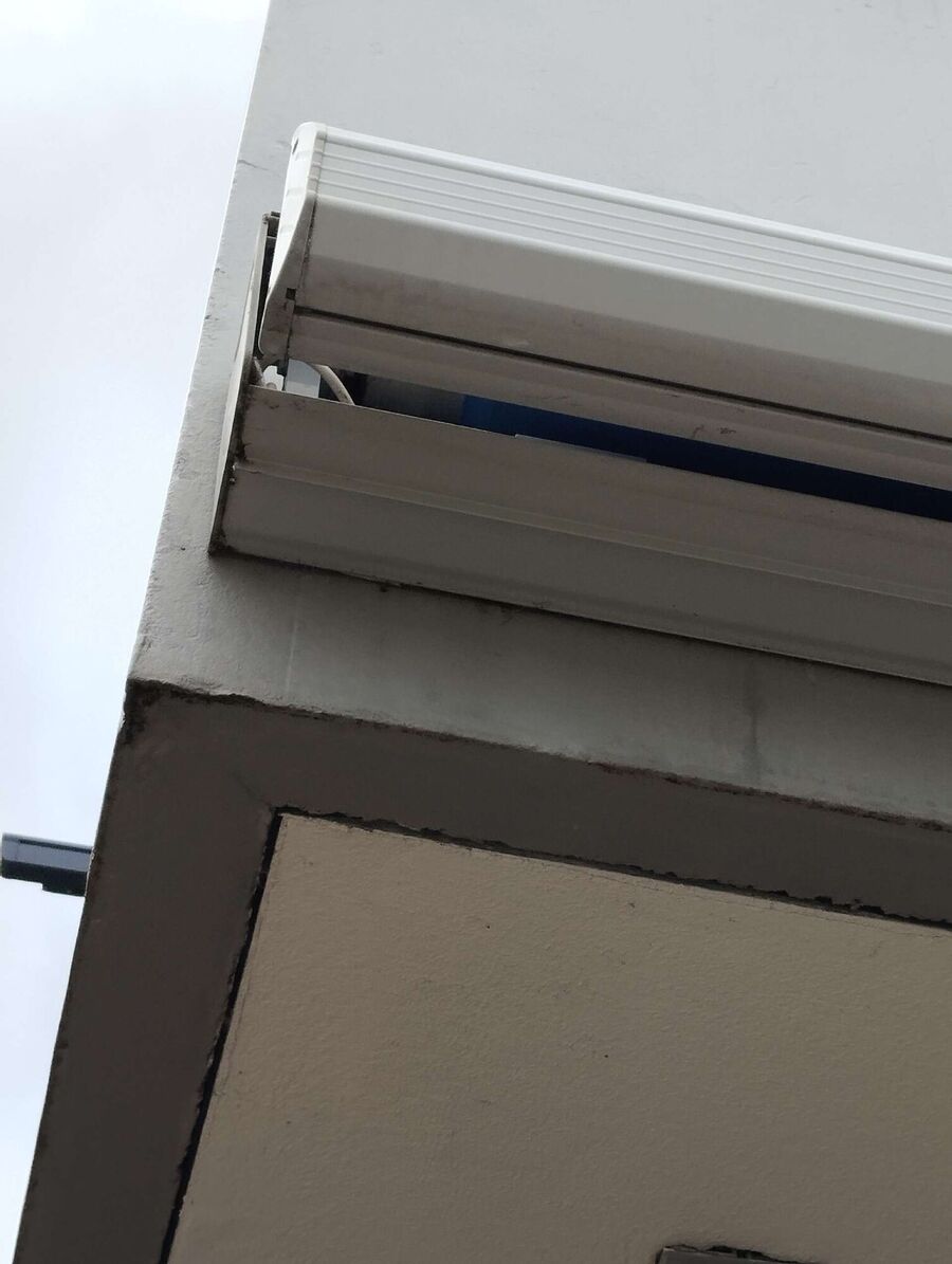 wespennest_entfernen