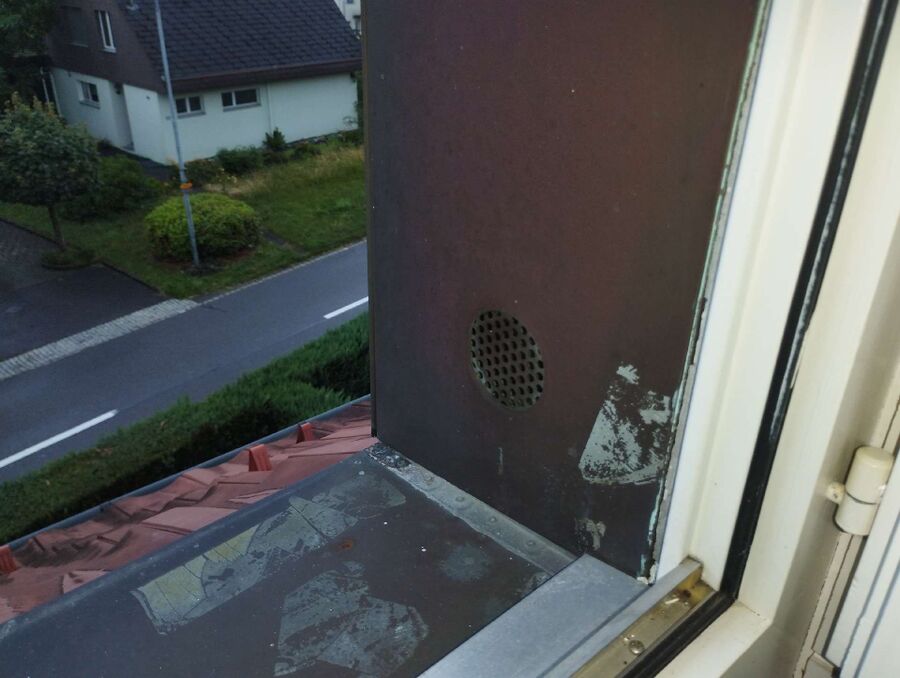 wespennest_entfernen