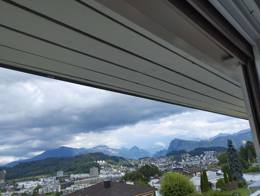 wespennest_entfernen