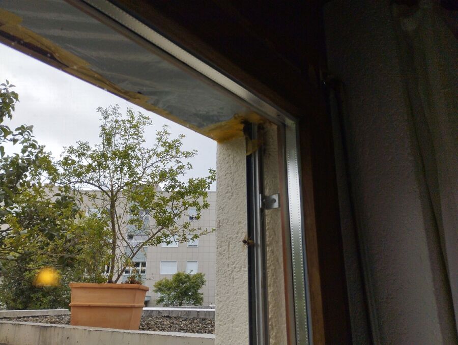 wespennest_entfernen