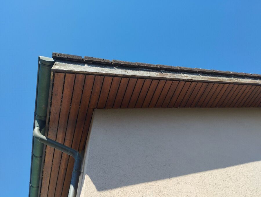 wespennest_entfernen