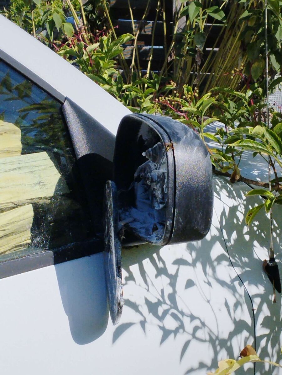 wespennest_entfernen