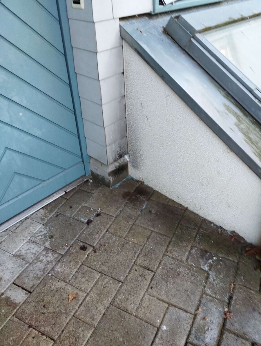 wespennest_entfernen